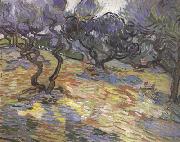 Vincent Van Gogh Olive Trees:Bright Blue Sky (nn04) Sweden oil painting artist